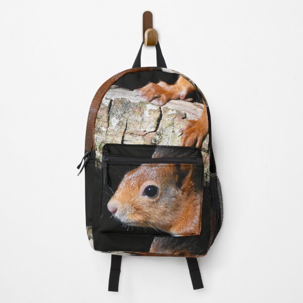 Item preview, Baby Red Squirrel on Log Dark Background Wales designed and sold by Shanguai.