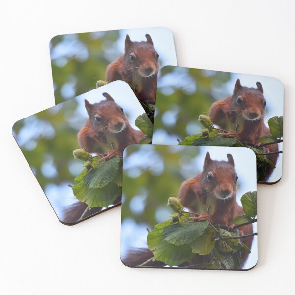 Item preview, Red Squirrel Peering Over Branch Wales UK designed and sold by Shanguai.