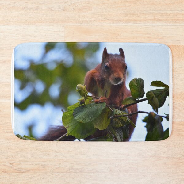 Item preview, Red Squirrel Peering Over Branch Wales UK designed and sold by Shanguai.