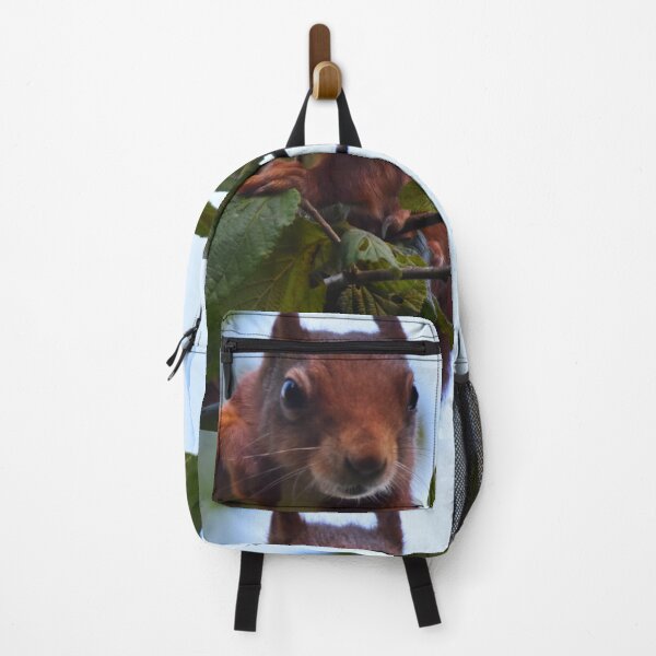 Item preview, Red Squirrel Peering Over Branch Wales UK designed and sold by Shanguai.