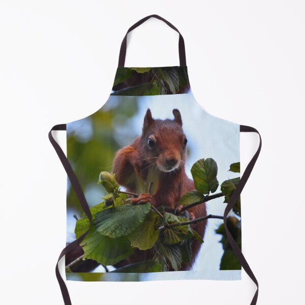 Item preview, Red Squirrel Peering Over Branch Wales UK designed and sold by Shanguai.