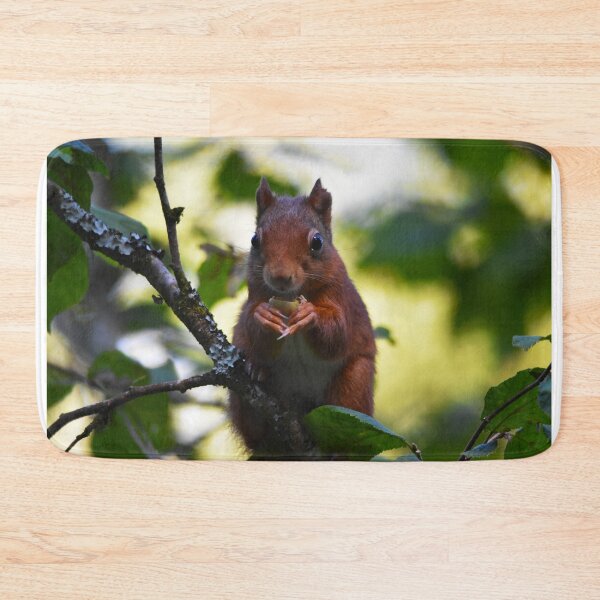 Item preview, Red Squirrel Portrait Eating Nut in Woodland Wales designed and sold by Shanguai.