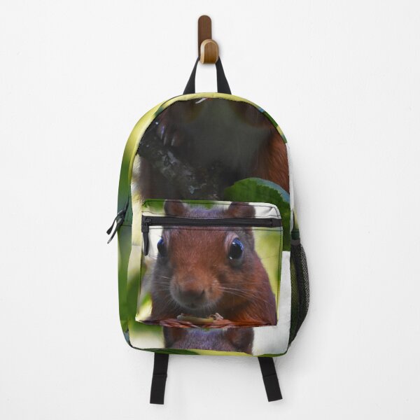 Item preview, Red Squirrel Portrait Eating Nut in Woodland Wales designed and sold by Shanguai.