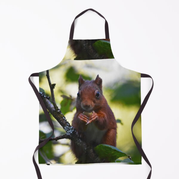 Item preview, Red Squirrel Portrait Eating Nut in Woodland Wales designed and sold by Shanguai.