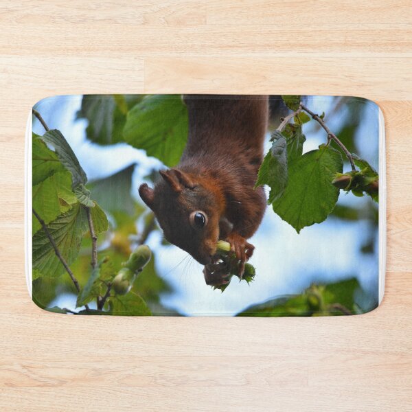 Item preview, Red Squirrel Hanging Upside Down Eating Hazelnuts designed and sold by Shanguai.