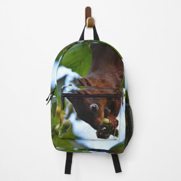 Item preview, Red Squirrel Hanging Upside Down Eating Hazelnuts designed and sold by Shanguai.