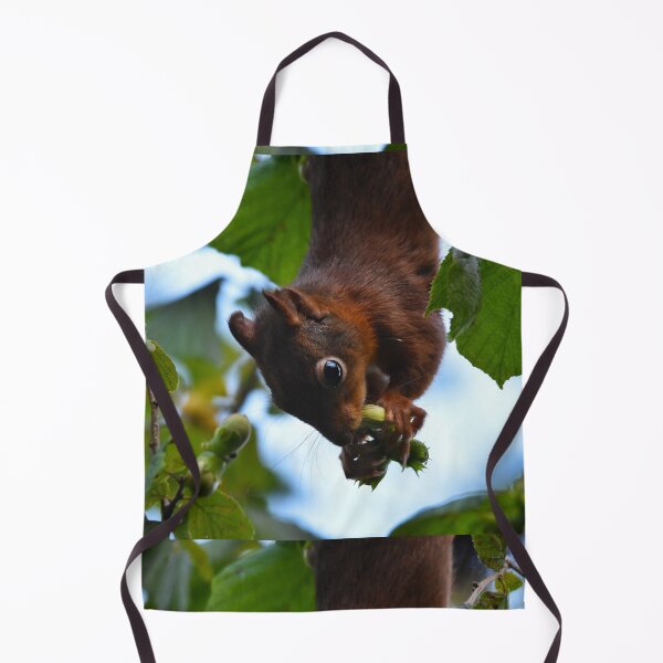 Item preview, Red Squirrel Hanging Upside Down Eating Hazelnuts designed and sold by Shanguai.