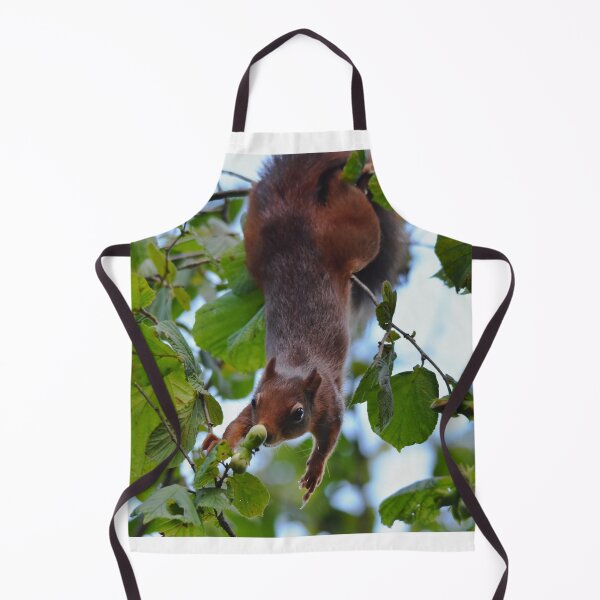 Item preview, Red Squirrel Hanging Upside Down in Hazel Tree, Wales UK designed and sold by Shanguai.