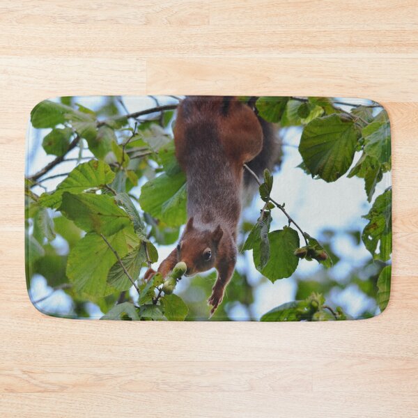 Item preview, Red Squirrel Hanging Upside Down in Hazel Tree, Wales UK designed and sold by Shanguai.