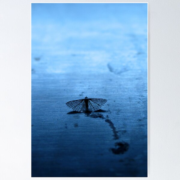 Item preview, Alone designed and sold by Alexandra Muresan.