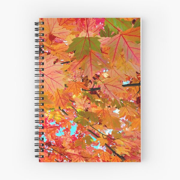 Item preview, Stunning Maple in Full Fall Beauty with a Rainbow of Colours - Abstract Artwork  designed and sold by Adam Gormley.