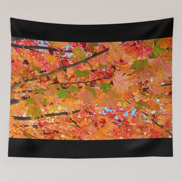 Item preview, Stunning Maple in Full Fall Beauty with a Rainbow of Colours - Abstract Artwork  designed and sold by Adam Gormley.