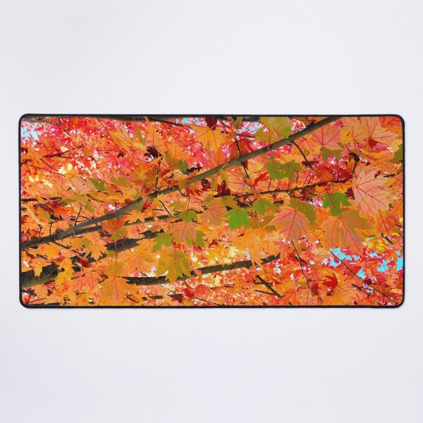 Item preview, Stunning Maple in Full Fall Beauty with a Rainbow of Colours - Abstract Artwork  designed and sold by Adam Gormley.