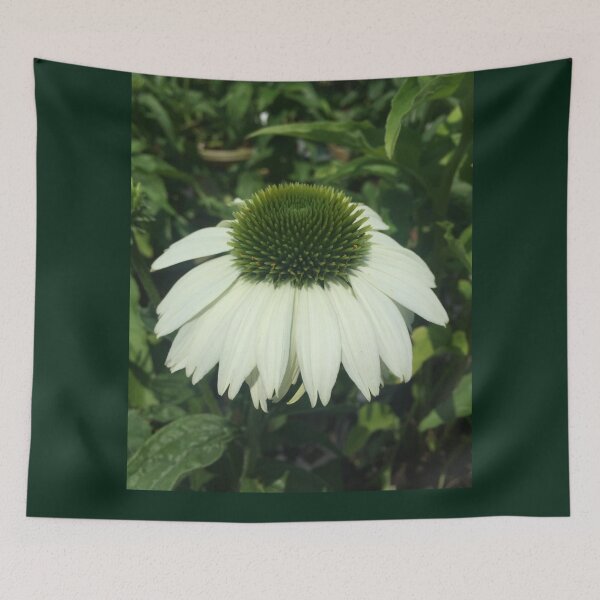 Item preview, Young Echinacea Purpurea Baby Swan White Wyckoff New Jersey designed and sold by CrowCottage51.
