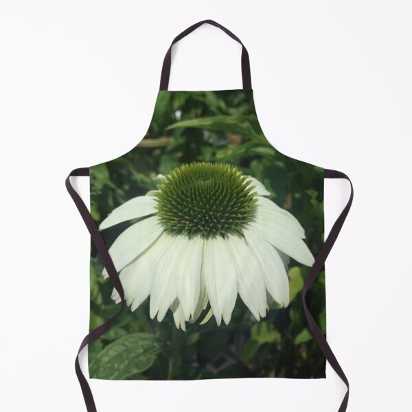 Item preview, Young Echinacea Purpurea Baby Swan White Wyckoff New Jersey designed and sold by CrowCottage51.