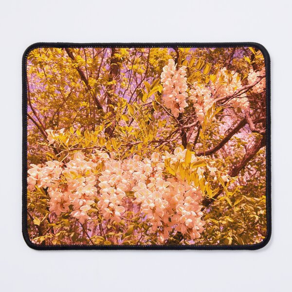 Item preview, Catalpa Alpha 7.4 designed and sold by Abeink1030.