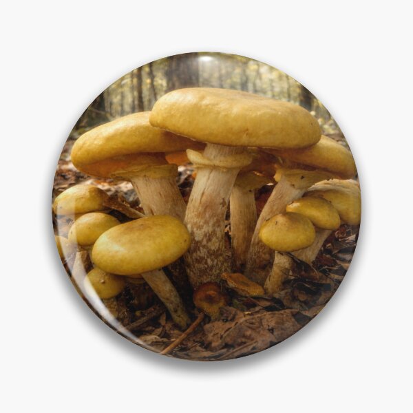 Item preview, Golden Forest Mushrooms in the Ozarks designed and sold by Blossom-Breeze.