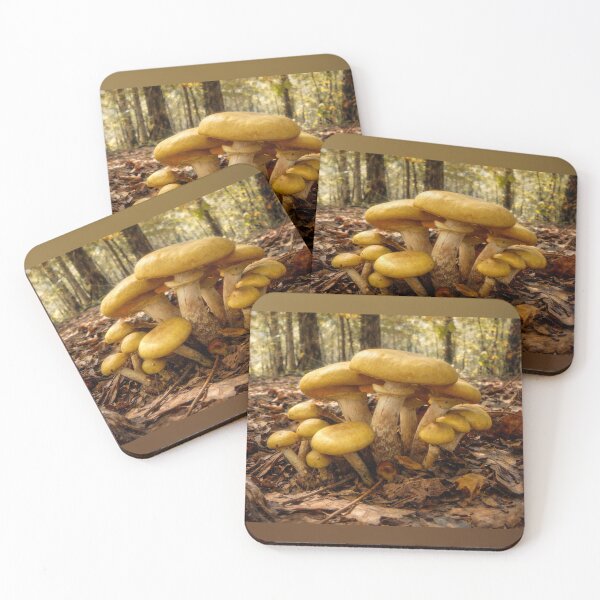 Item preview, Golden Forest Mushrooms in the Ozarks designed and sold by Blossom-Breeze.