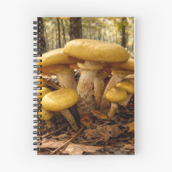 Item preview, Hongos dorados del bosque en los Ozarks designed and sold by Blossom-Breeze.