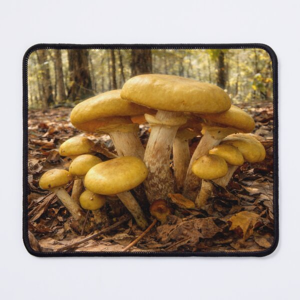 Item preview, Golden Forest Mushrooms in the Ozarks designed and sold by Blossom-Breeze.