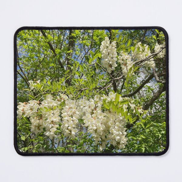Item preview, Catalpa Alpha 7 designed and sold by Abeink1030.