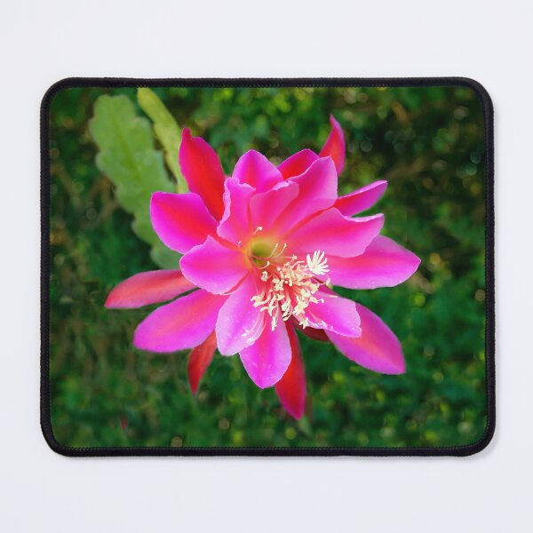 Item preview, "Tis the Season! designed and sold by heatherfriedman.
