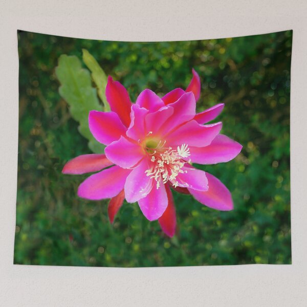 Item preview, "Tis the Season! designed and sold by heatherfriedman.