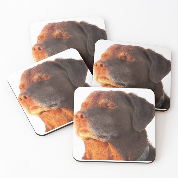 Item preview, Chocolate Dog Meditating Meme designed and sold by NF Designs Studio DTF.