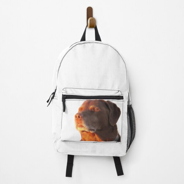 Item preview, Chocolate Dog Meditating Meme designed and sold by NF Designs Studio DTF.