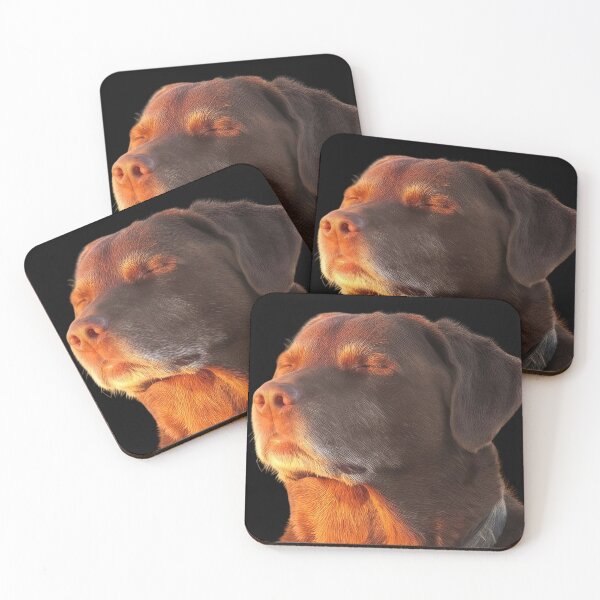 Item preview, Chocolate Dog Meditating Meme designed and sold by NF Designs Studio DTF.