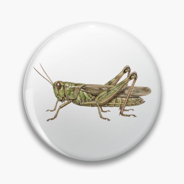 Item preview, Green Grasshopper – Illustration designed and sold by Chaoscience.