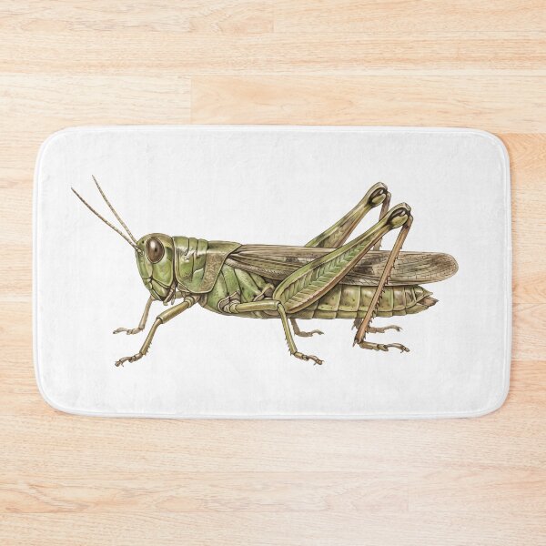 Item preview, Green Grasshopper – Illustration designed and sold by Chaoscience.
