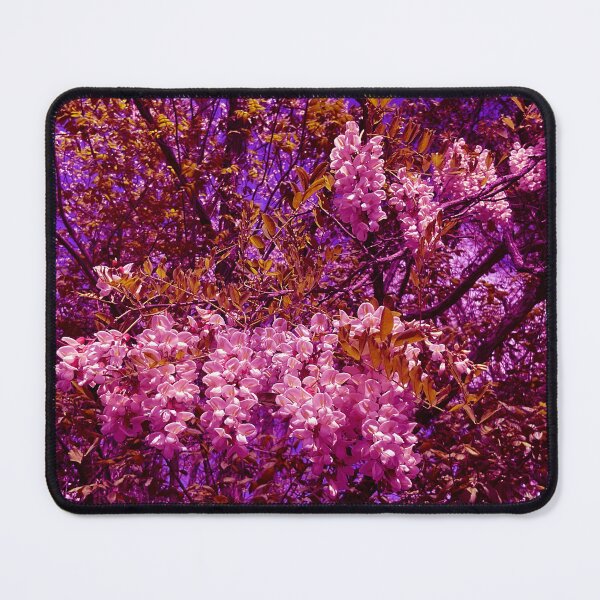 Item preview, Catalpa Alpha 7.8 designed and sold by Abeink1030.
