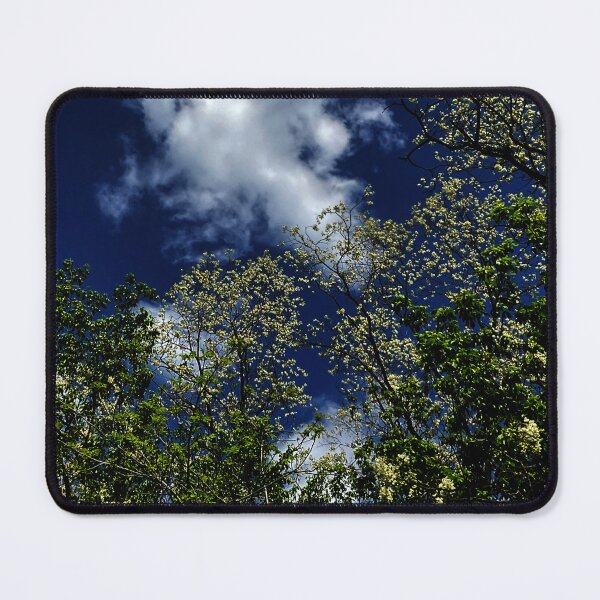 Item preview, Catalpa Alpha 10 designed and sold by Abeink1030.