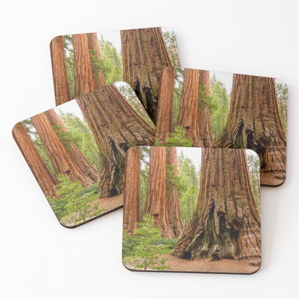 Item preview, Giant Sequoia Trees, Yosemite National Park, California, USA designed and sold by Ross.A.Campbell.