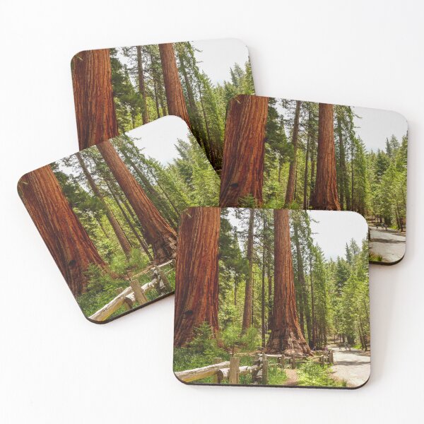 Item preview, Giant Sequoia Trees, Yosemite National Park, California, USA designed and sold by Ross.A.Campbell.