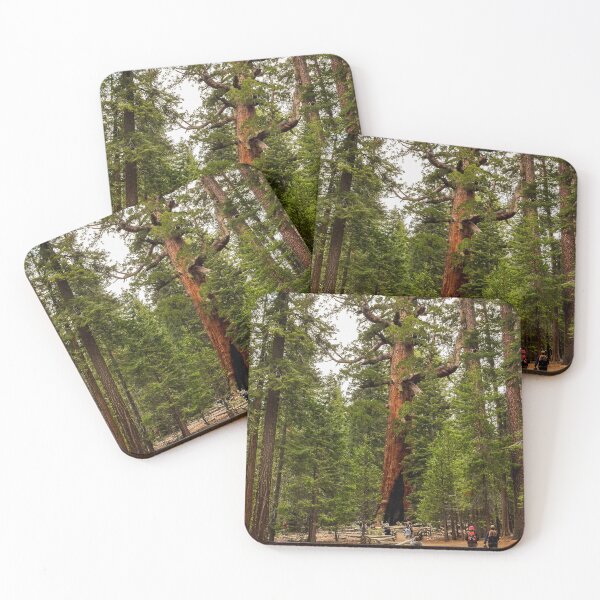 Item preview, "Grizzly Giant" Sequoia Tree, Yosemite National Park, California, USA designed and sold by Ross.A.Campbell.