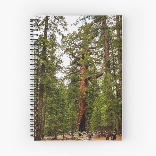 Item preview, "Grizzly Giant" Sequoia Tree, Yosemite National Park, California, USA designed and sold by Ross.A.Campbell.