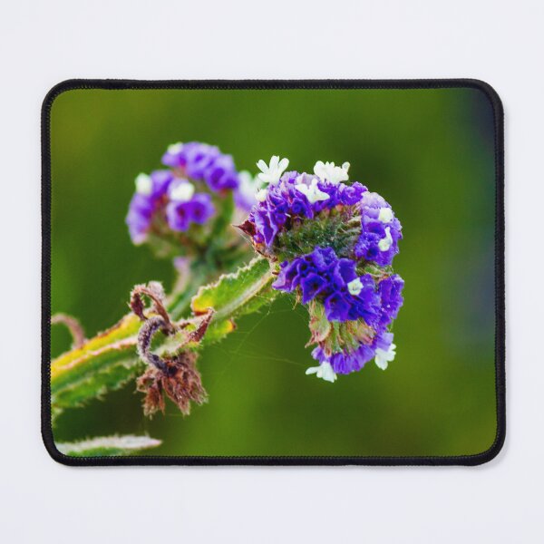 Item preview, Purple Statice Flower Close-Up Macro Photo With White Accents On Blurred Green Background designed and sold by Nmallia.