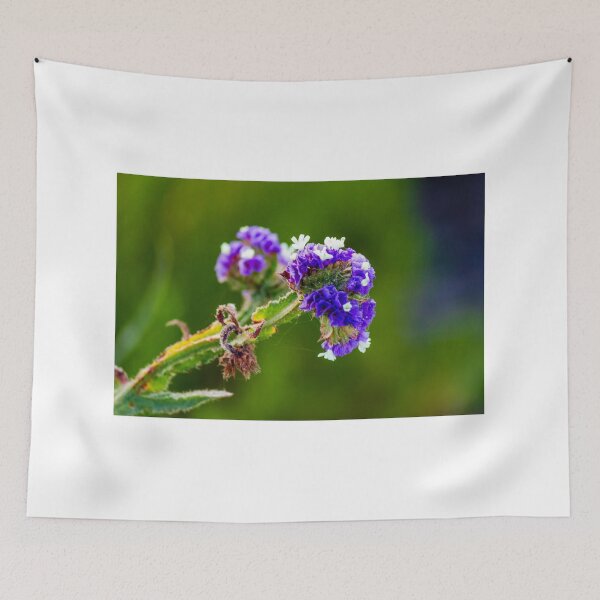 Item preview, Purple Statice Flower Close-Up Macro Photo With White Accents On Blurred Green Background designed and sold by Nmallia.