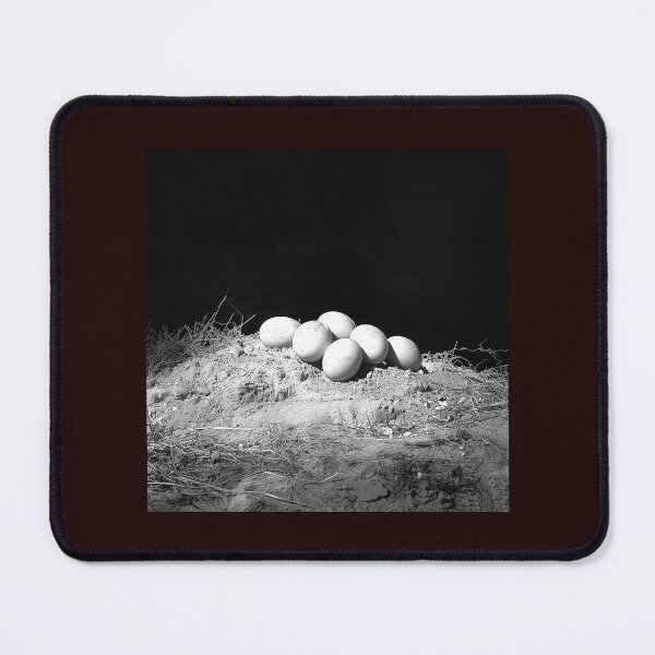 Item preview, Black and White Nest of Eggs Wildlife Art designed and sold by inkoutninja.