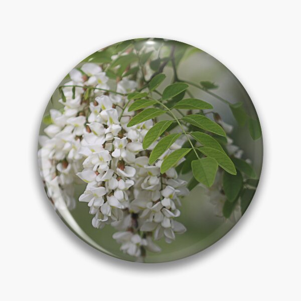 Item preview, Robinia flowers. designed and sold by Paul Pasco.