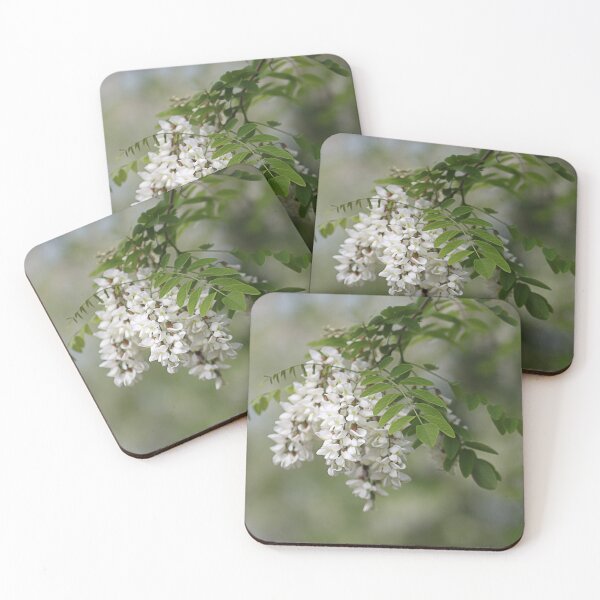 Item preview, Robinia flowers. designed and sold by Paul Pasco.