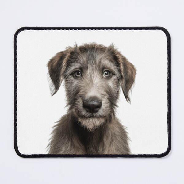 Item preview, Adorable Irish Wolfhound Pup for Cute Irish Greyhound puppy lovers designed and sold by LazyOwlStore.