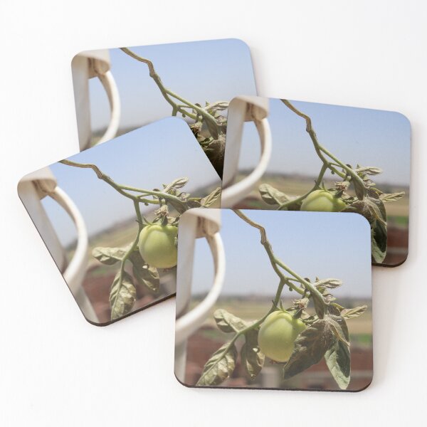 Item preview, Beautiful picture of a tomato plant bearing fruit designed and sold by diaaphotography.