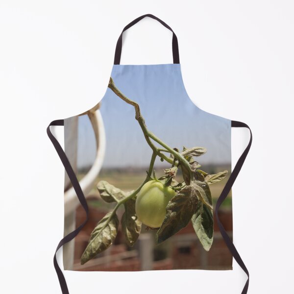 Item preview, Beautiful picture of a tomato plant bearing fruit designed and sold by diaaphotography.