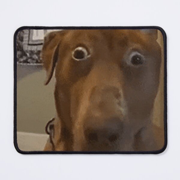 Item preview, Shocked Dog designed and sold by SkrenClothing.
