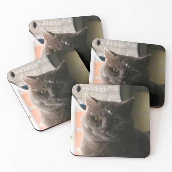 Item preview, British shorthair designed and sold by CanvasKitty.