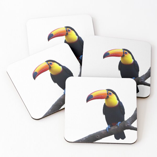 Item preview, Toucan sitting on the branch. Nature travel in central America. Keel-billed Toucan, Ramphastos. Wildlife designed and sold by ArtEventET.