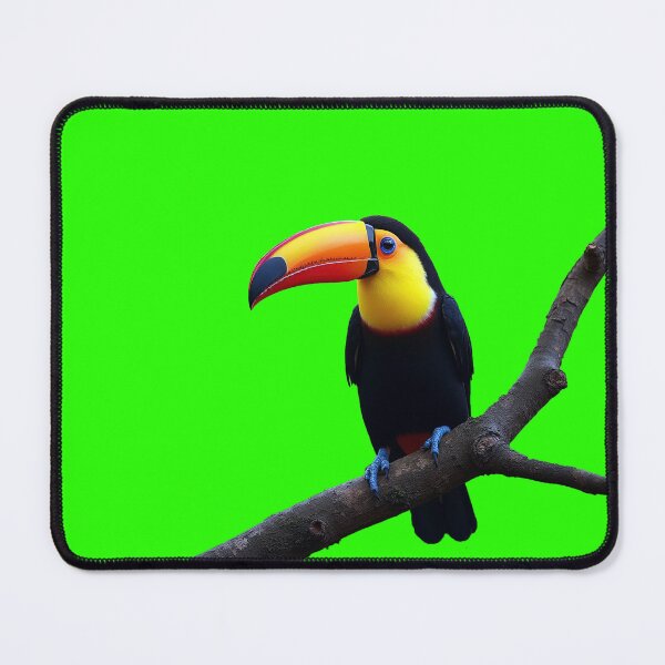Item preview, Toucan sitting on the branch. Nature travel in central America. Keel-billed Toucan, Ramphastos. Wildlife designed and sold by ArtEventET.